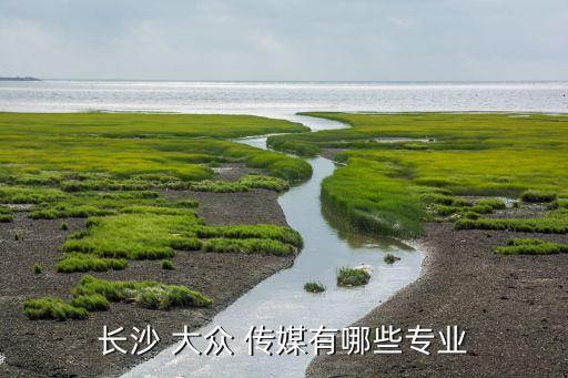 大眾傳媒影視藝術(shù)學(xué)院教師,湖南大眾傳媒藝術(shù)學(xué)院是本科還是專科...